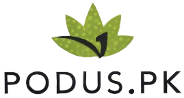 Podus